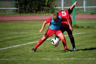 开云体育网页版-世界羽联超级赛中国选手表现优异,世界羽联超级赛中国选手表现优异吗